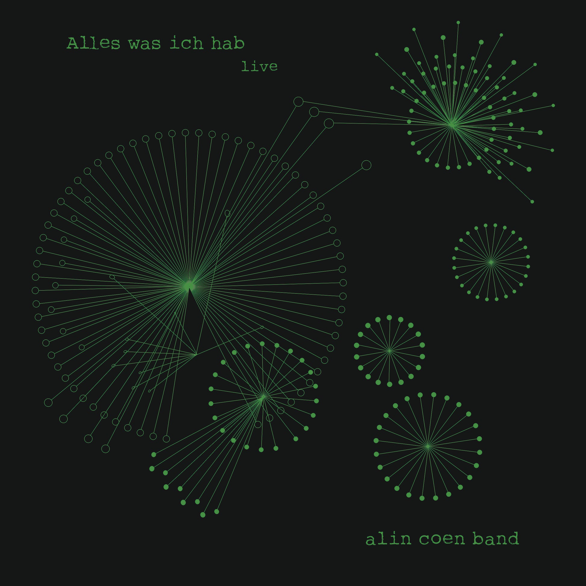 Alin Coen - Alles was ich hab - Live - Doppel Vinyl