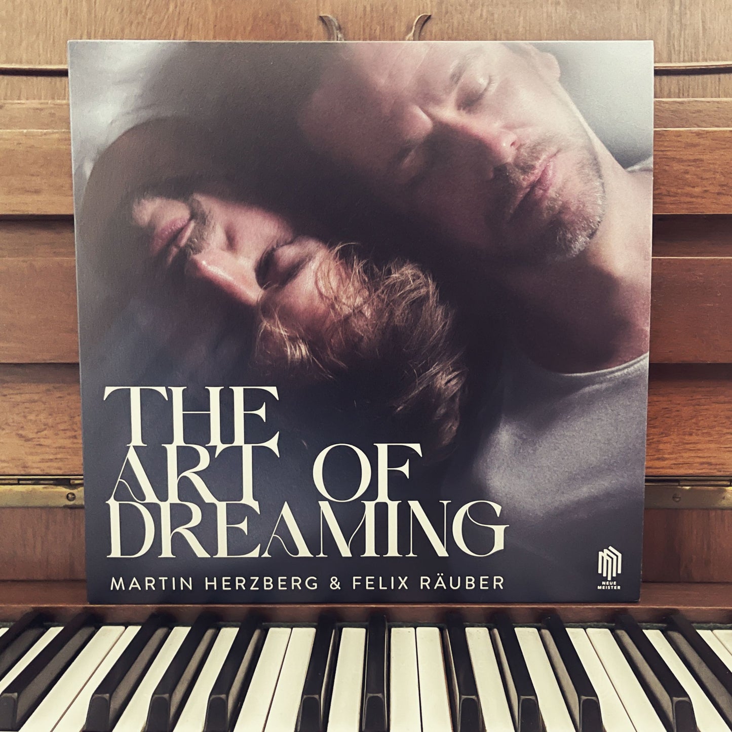 Felix Räuber und Martin Herzberg - The Art of Dreaming - Vinyl LP